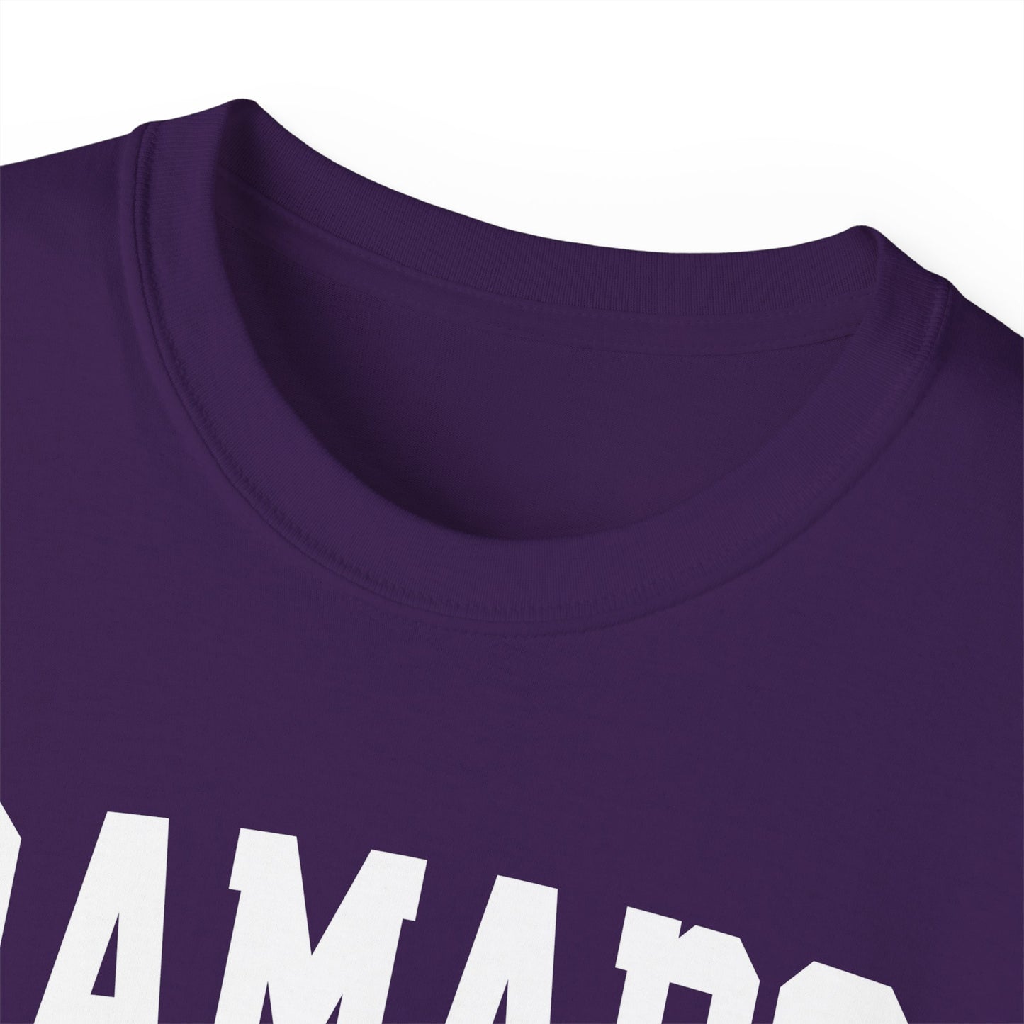 Ramapo New York t-shirt