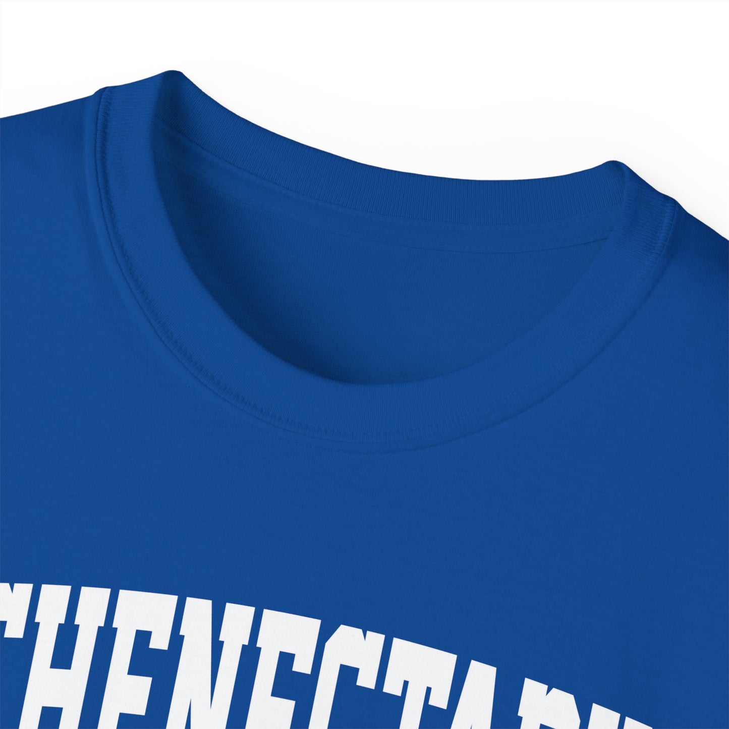 Schenectady New York t-shirt