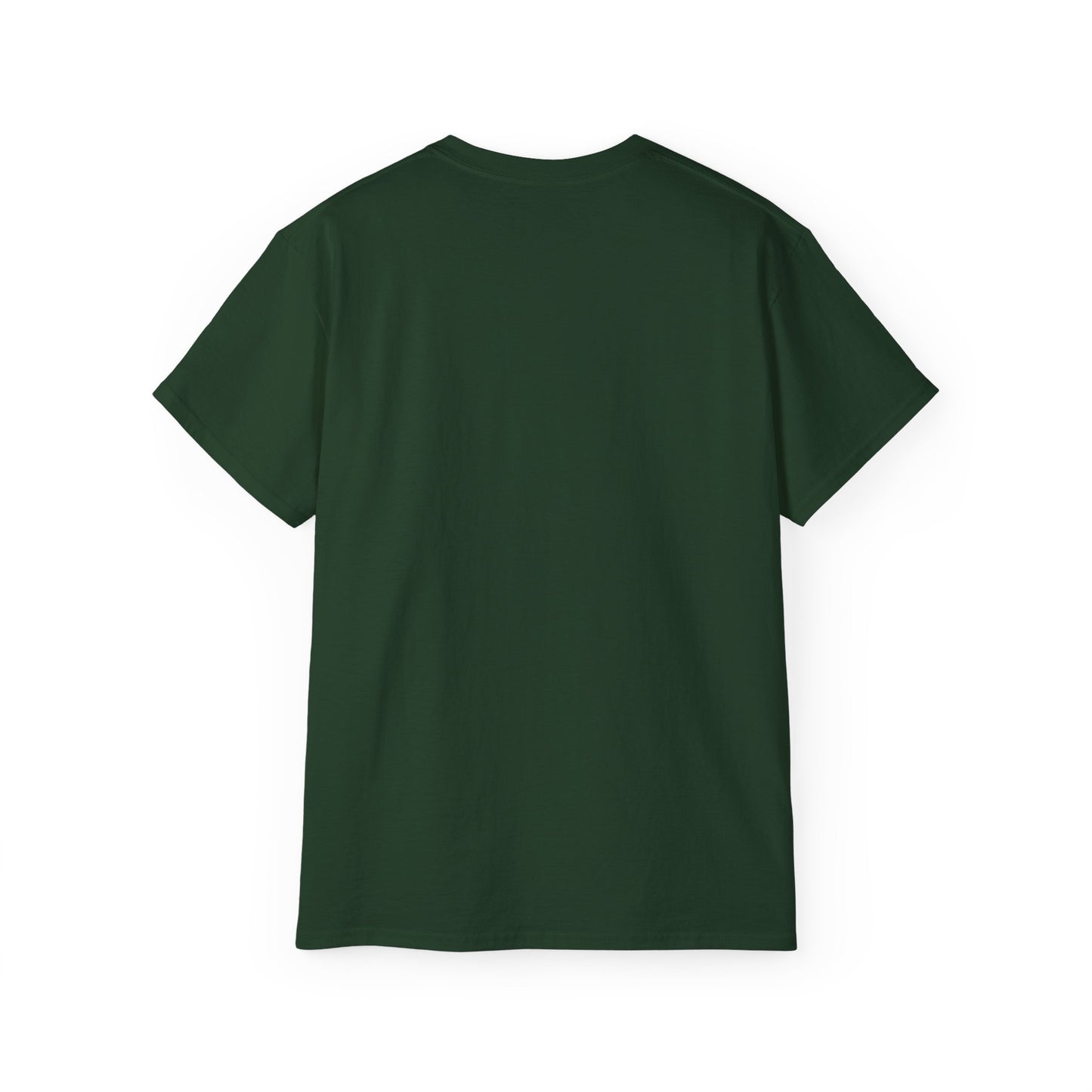 Amherst New York t-shirt