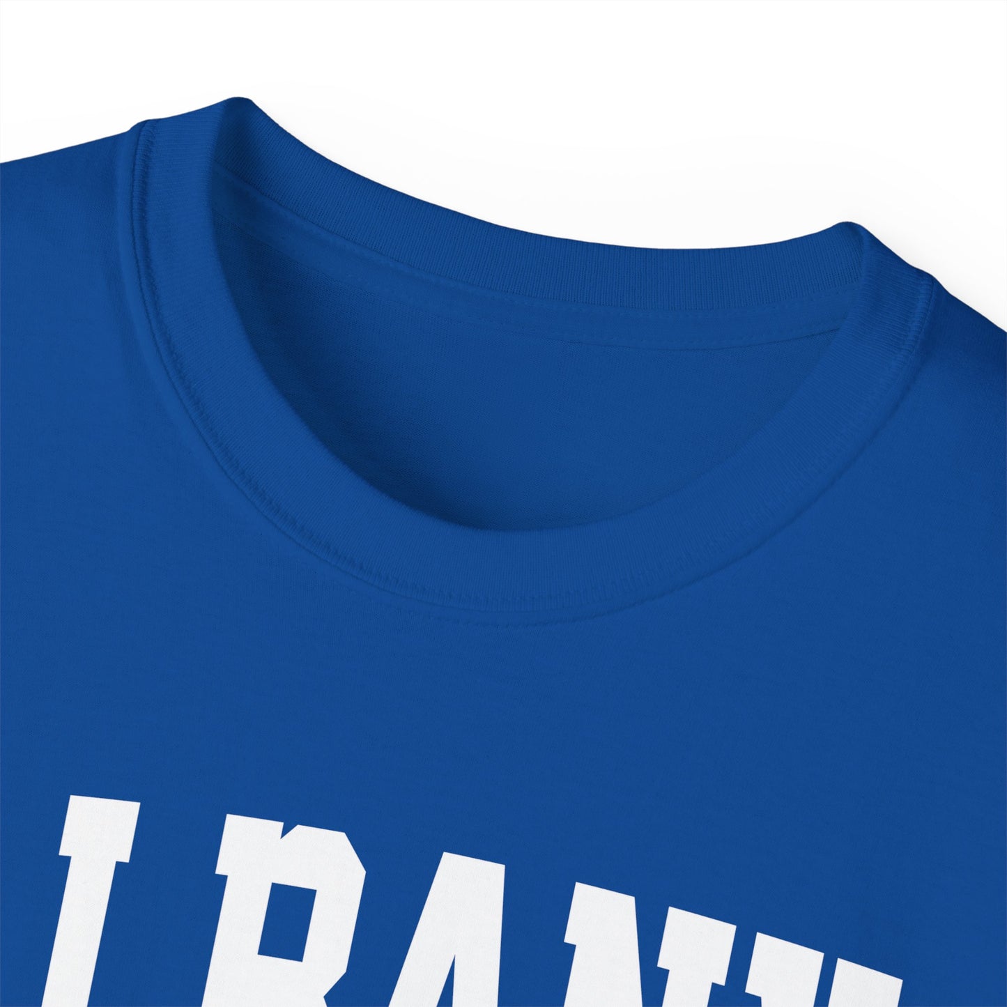 Albany New York t-shirt