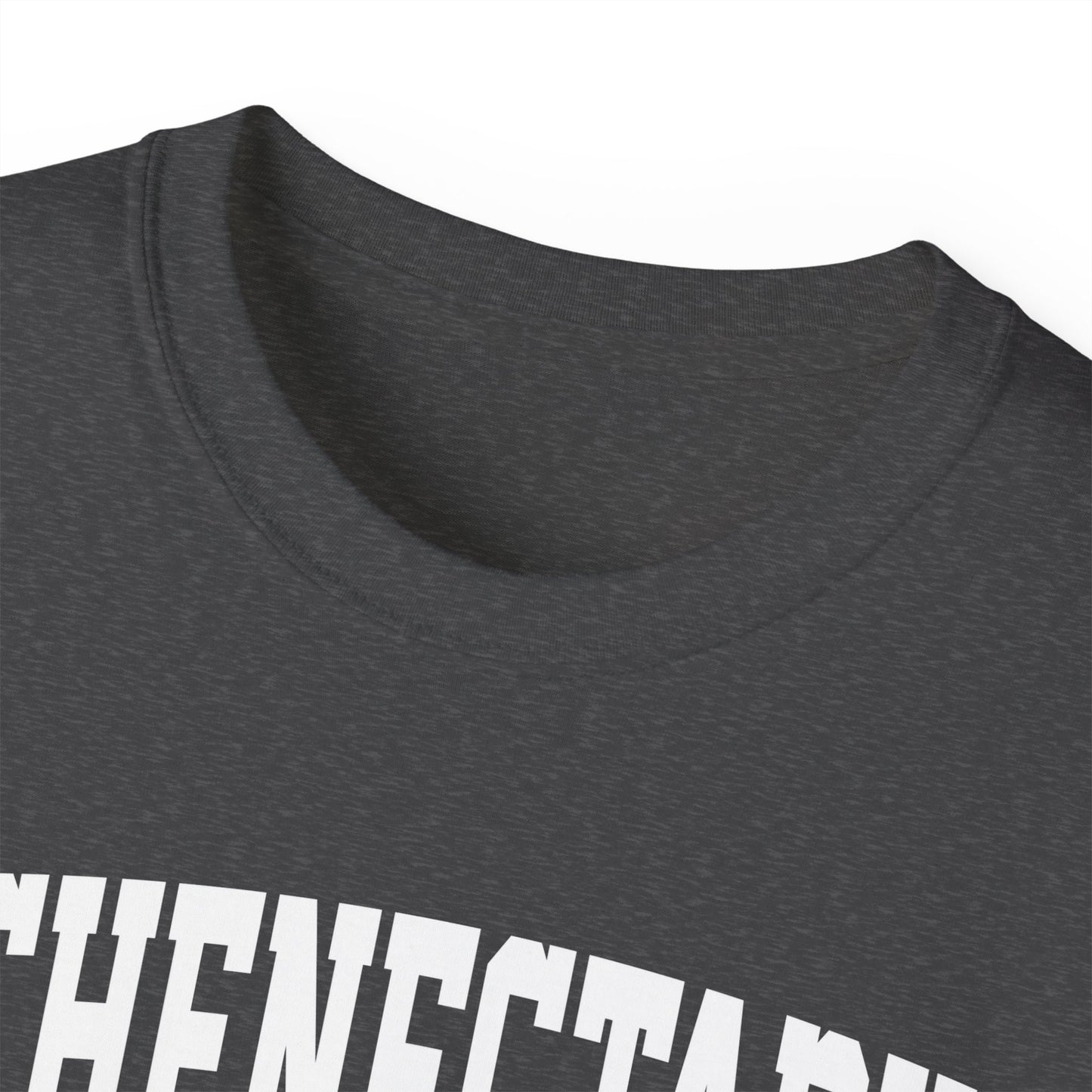 Schenectady New York t-shirt