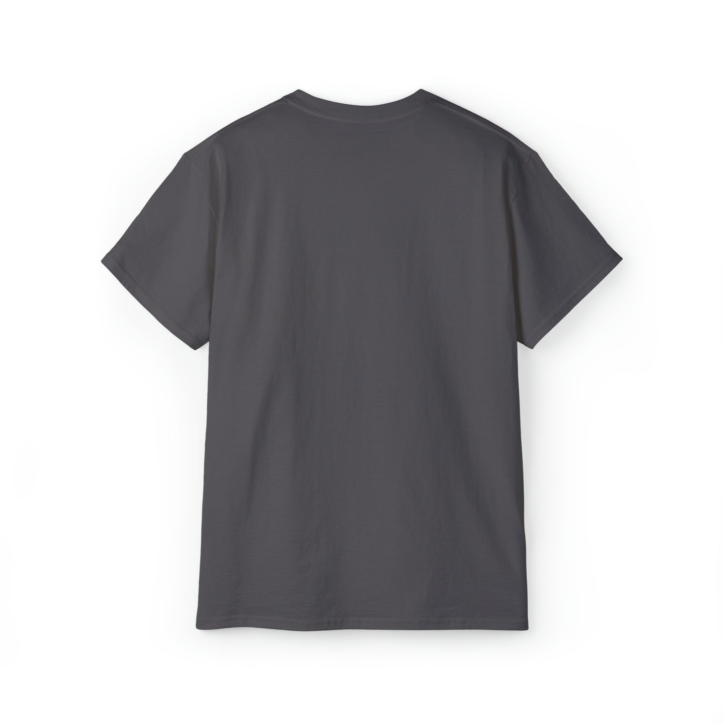 Ashburn Virginia T-Shirt