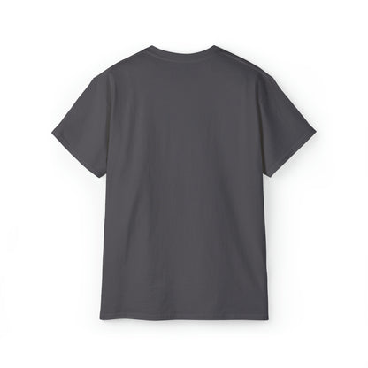 Ashburn Virginia T-Shirt
