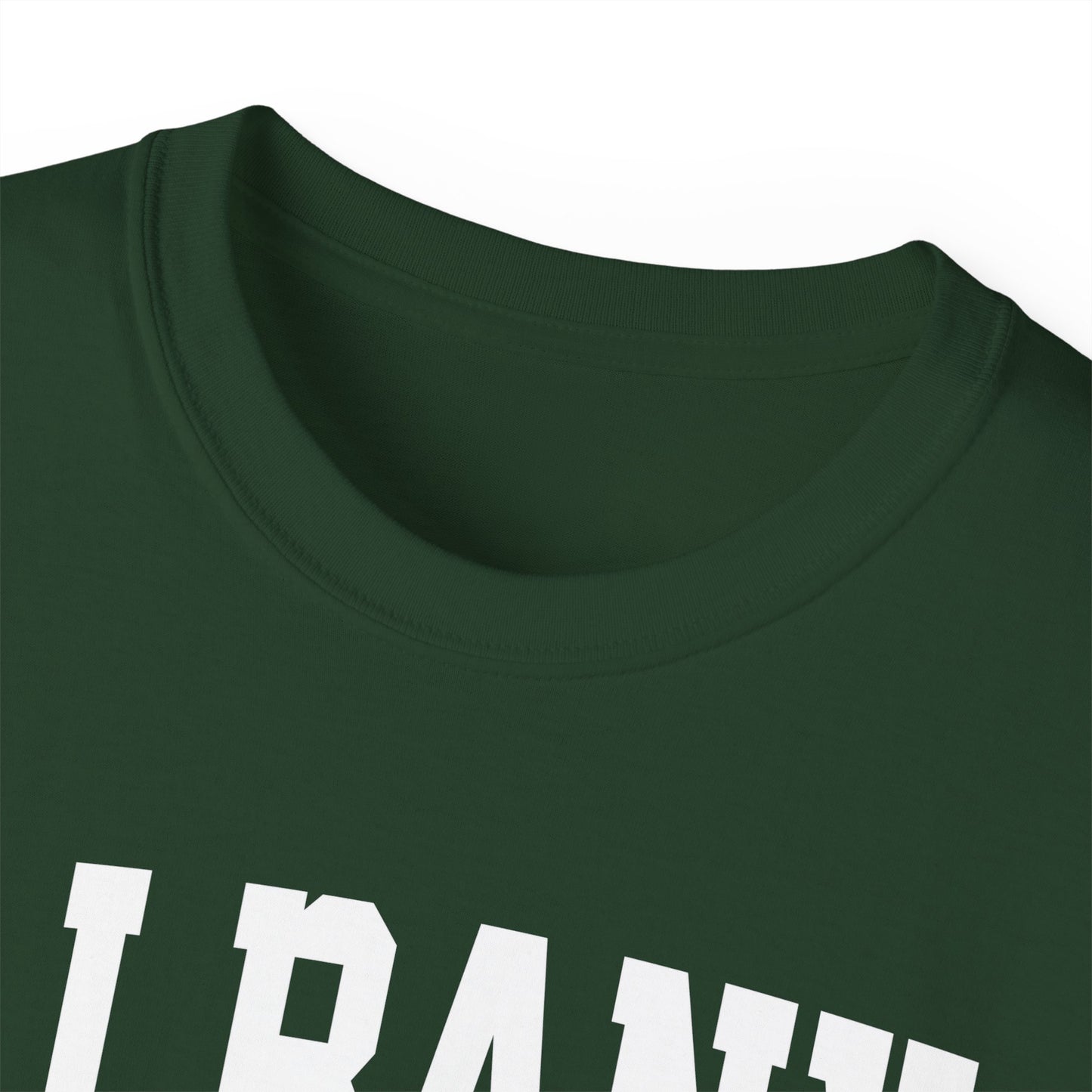 Albany New York t-shirt