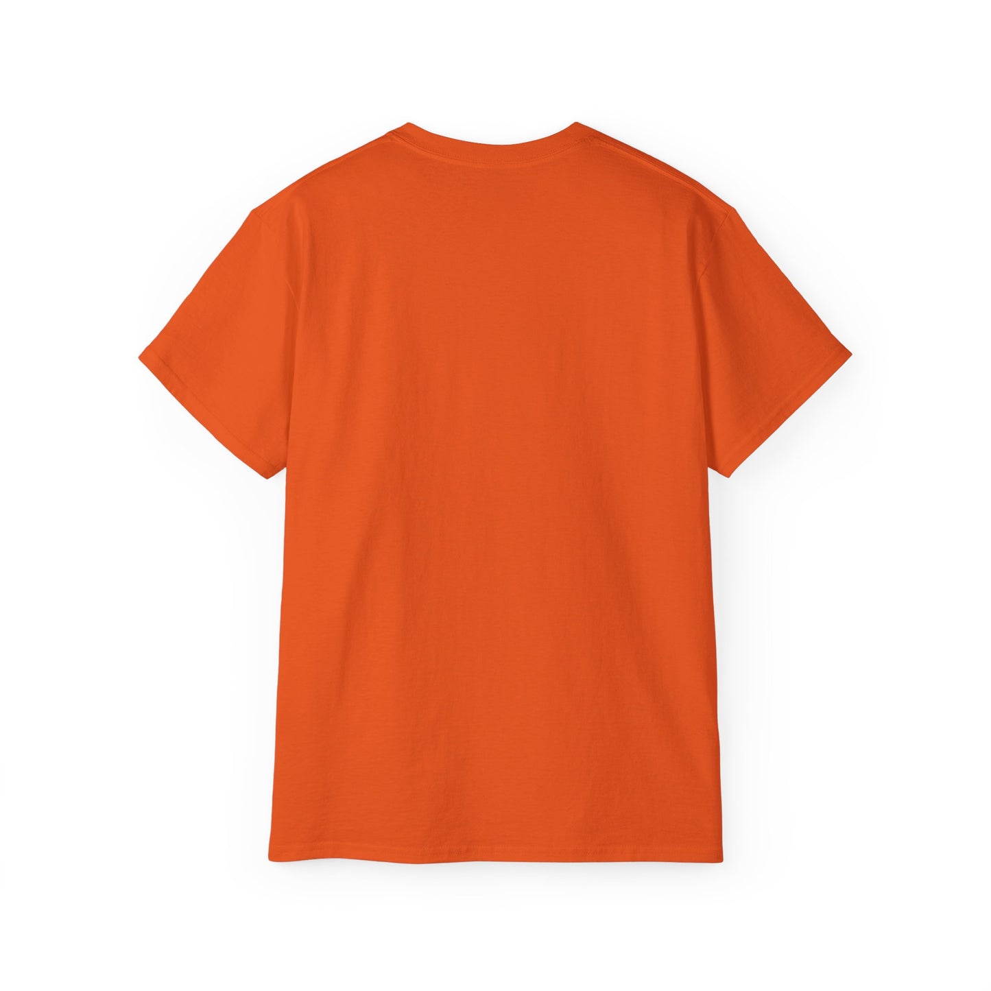 Troy New York t-shirt