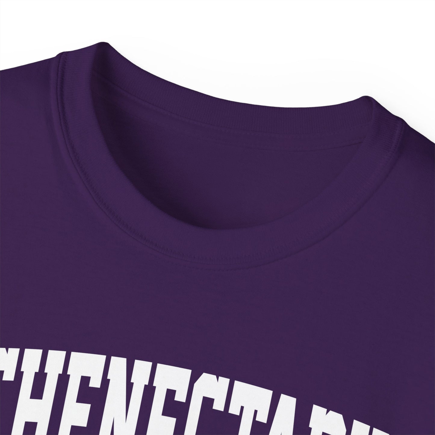 Schenectady New York t-shirt