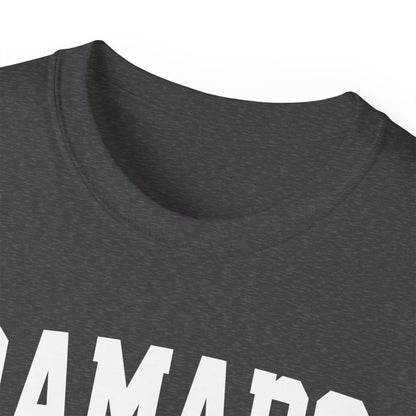 Ramapo New York t-shirt