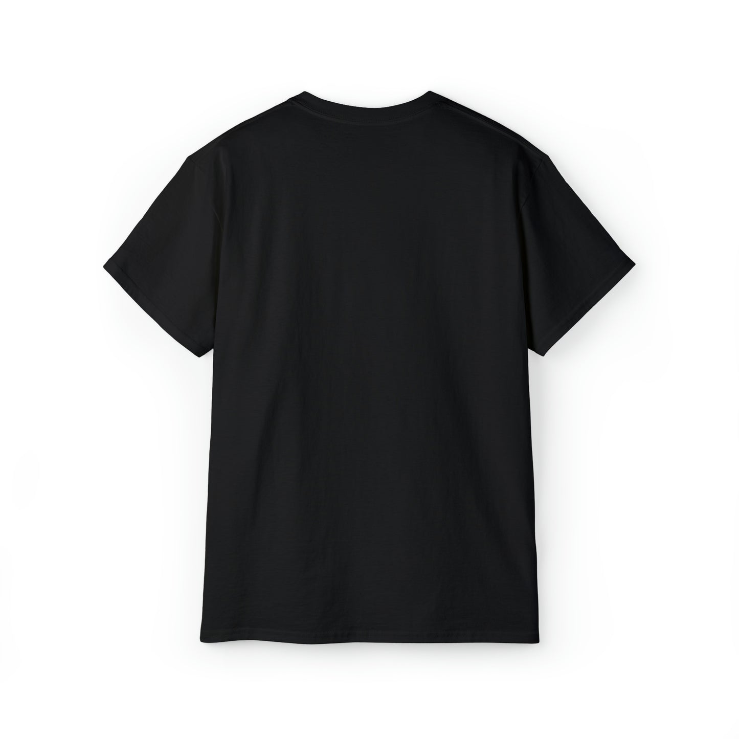 Ashburn Virginia T-Shirt