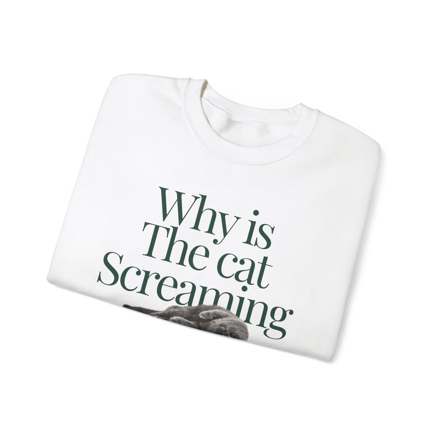 Why is the Cat Screaming Sweatshirt