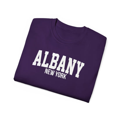 Albany New York t-shirt