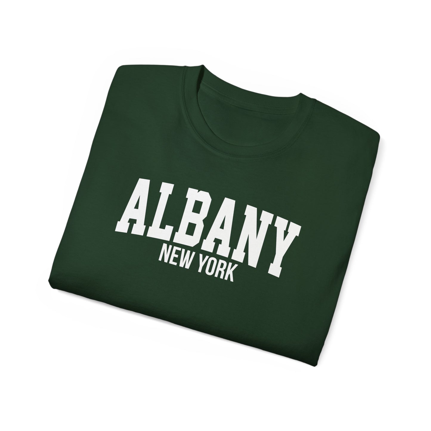 Albany New York t-shirt