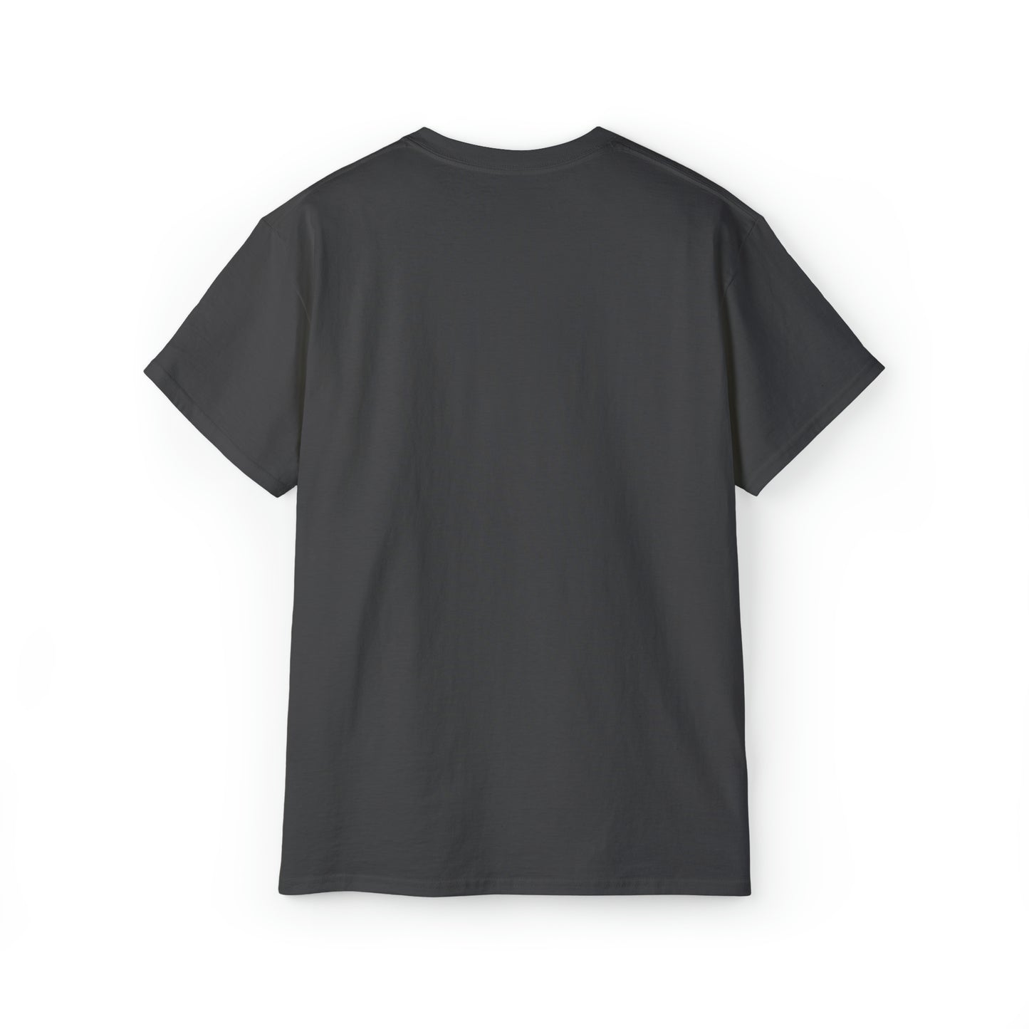 Ashburn Virginia T-Shirt