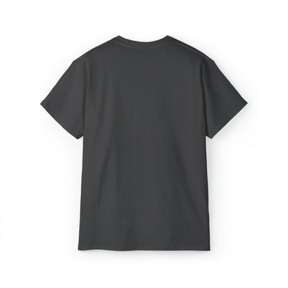 Ashburn Virginia T-Shirt