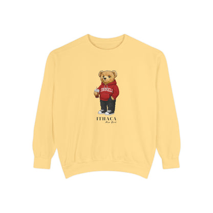 Ithaca, New York Teddy Bear Comfort Colors Sweatshirt