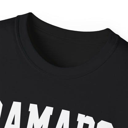 Ramapo New York t-shirt