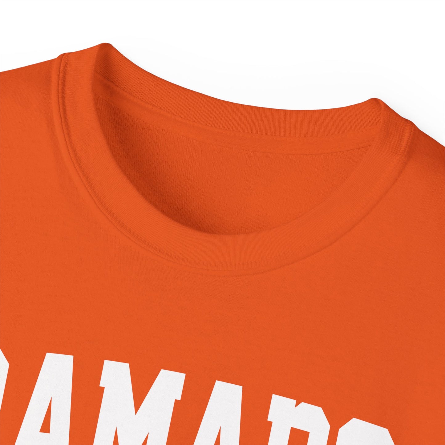 Ramapo New York t-shirt
