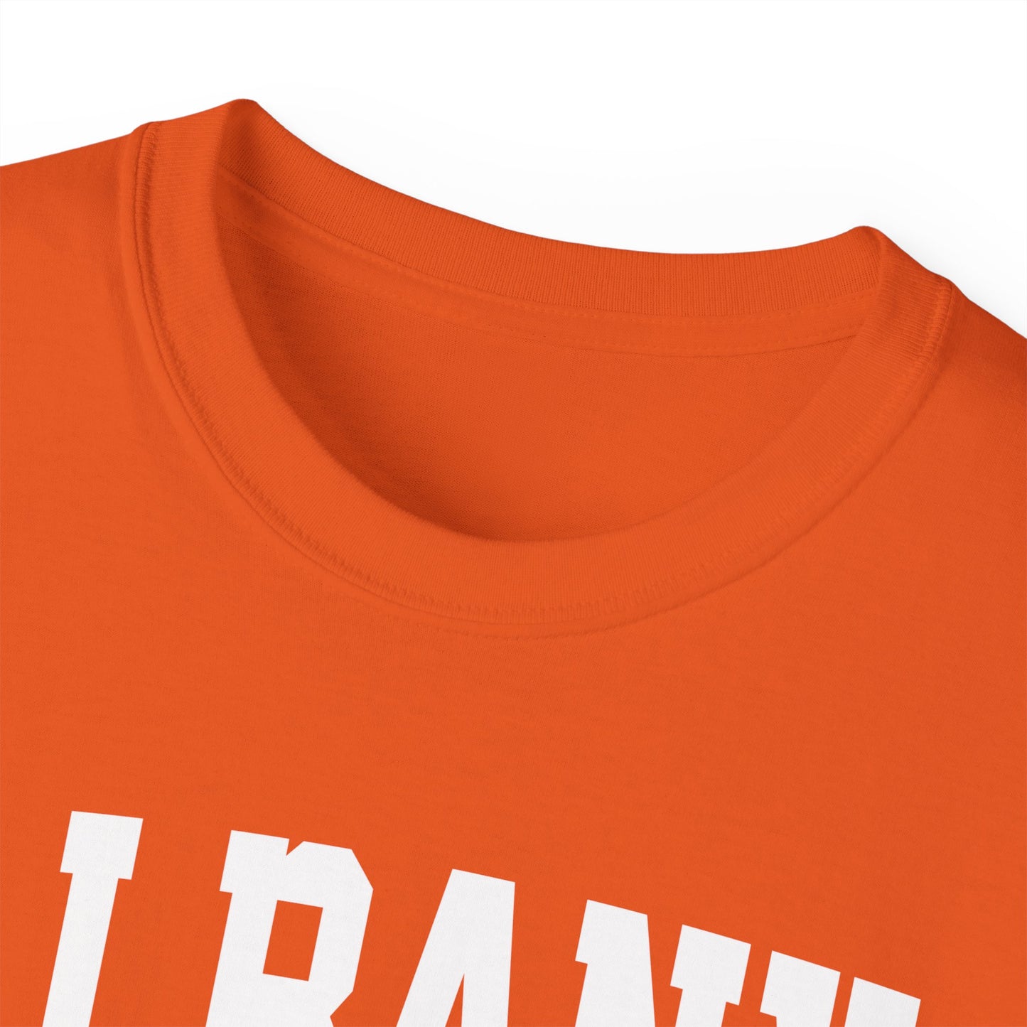 Albany New York t-shirt