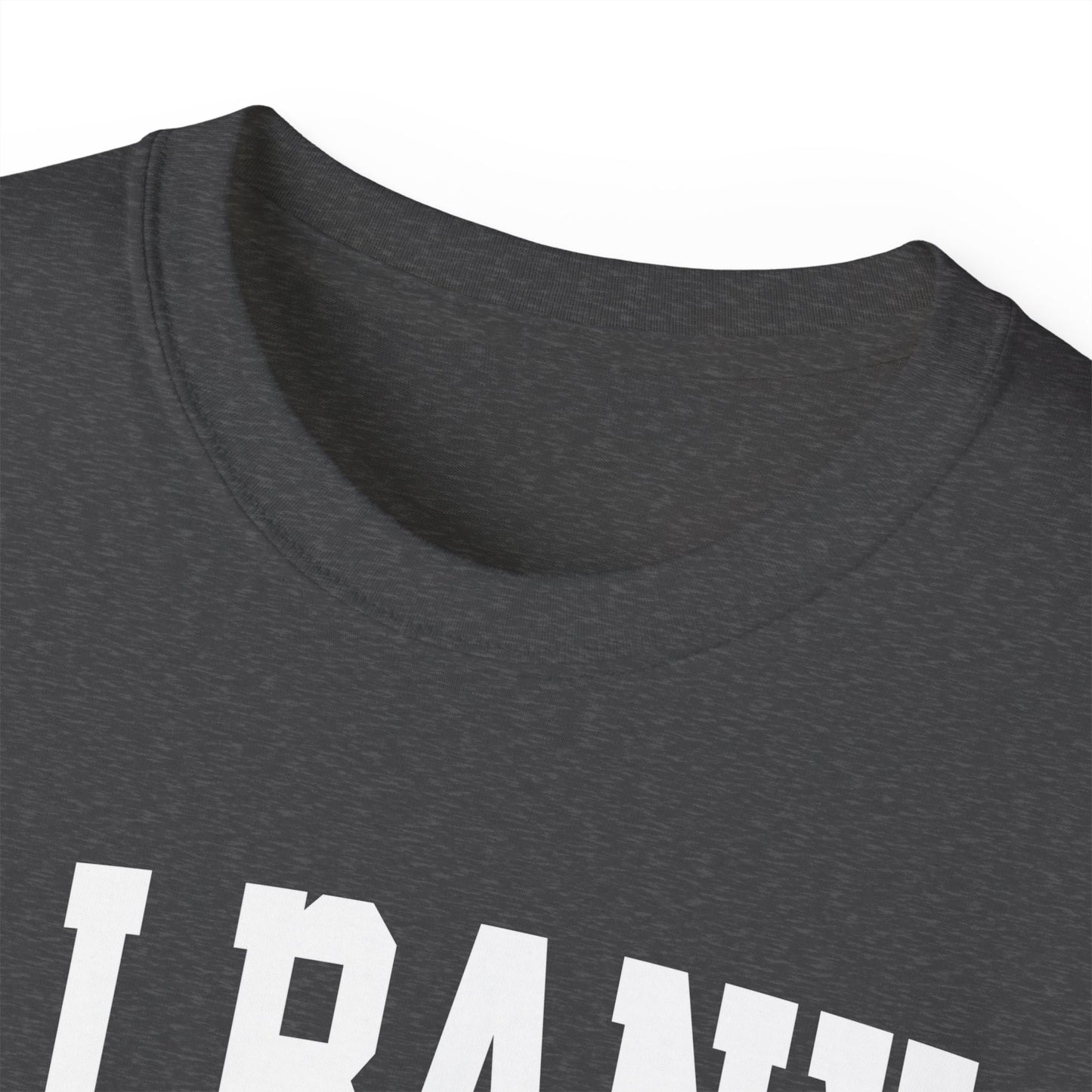 Albany New York t-shirt