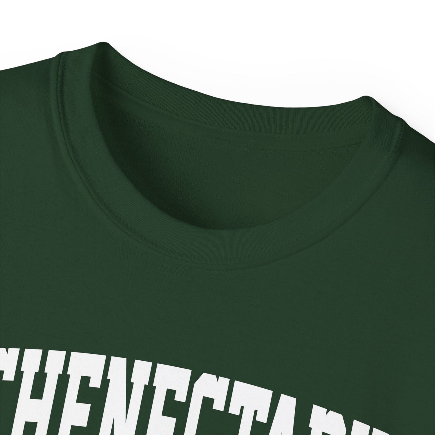 Schenectady New York t-shirt