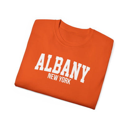 Albany New York t-shirt