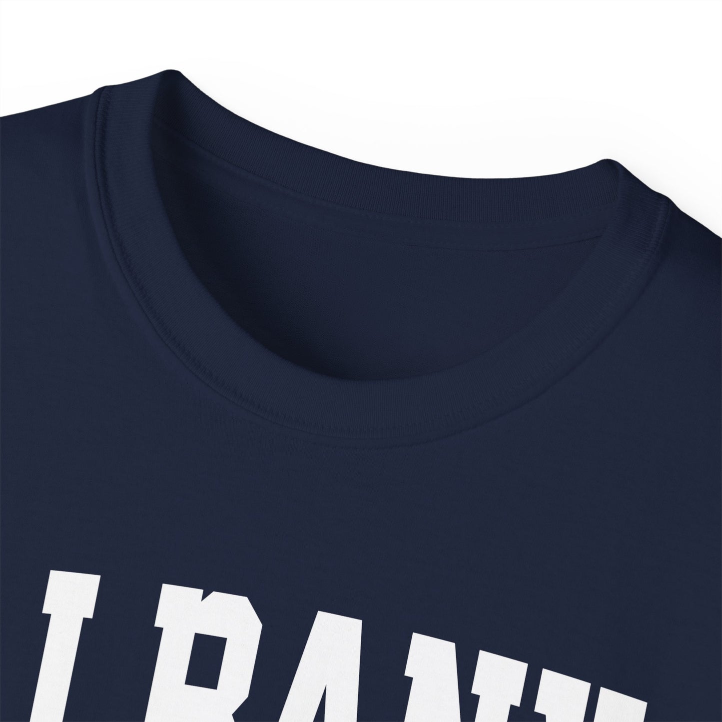 Albany New York t-shirt