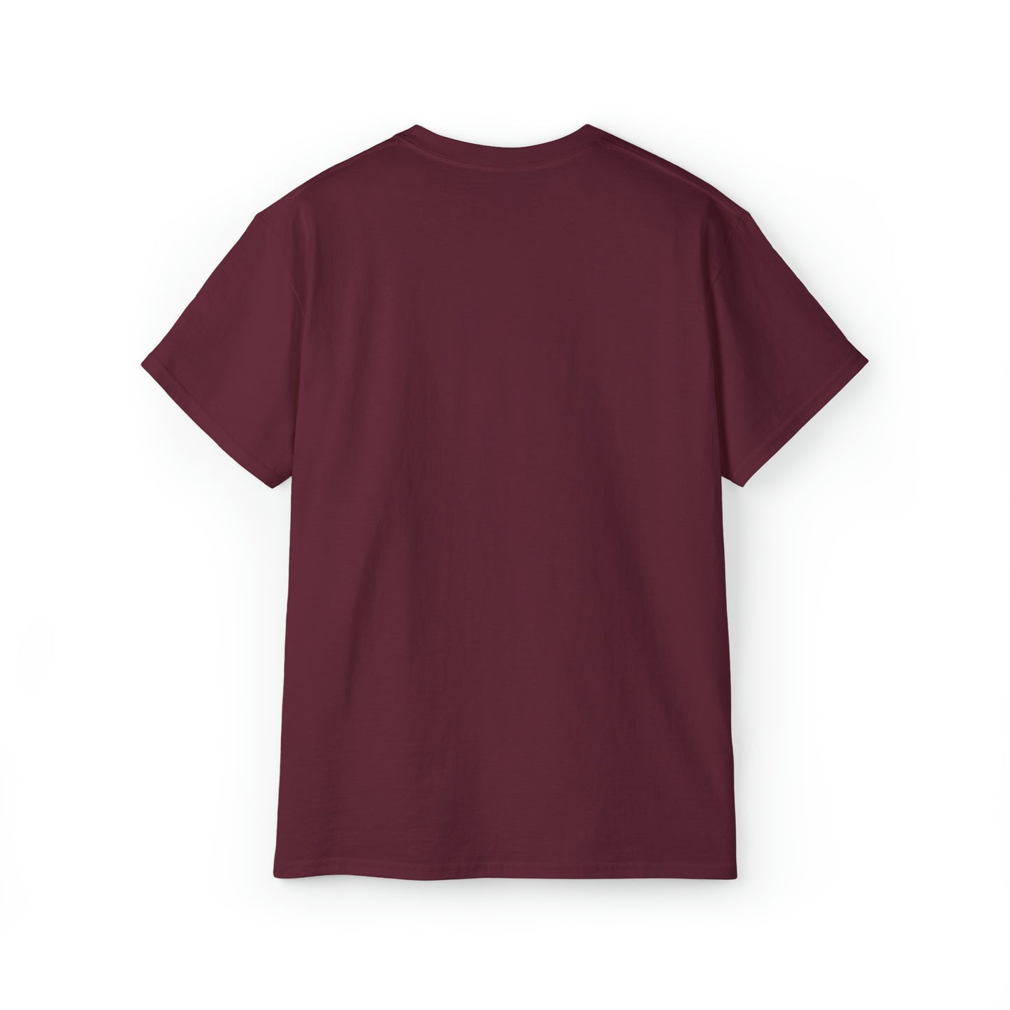Ashburn Virginia T-Shirt