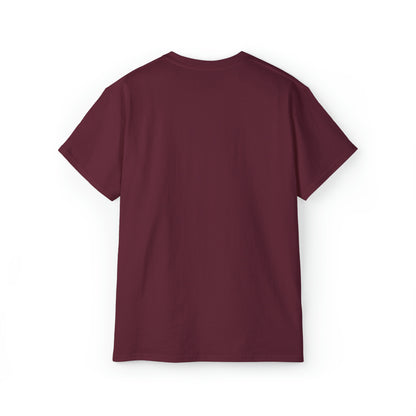 Ashburn Virginia T-Shirt