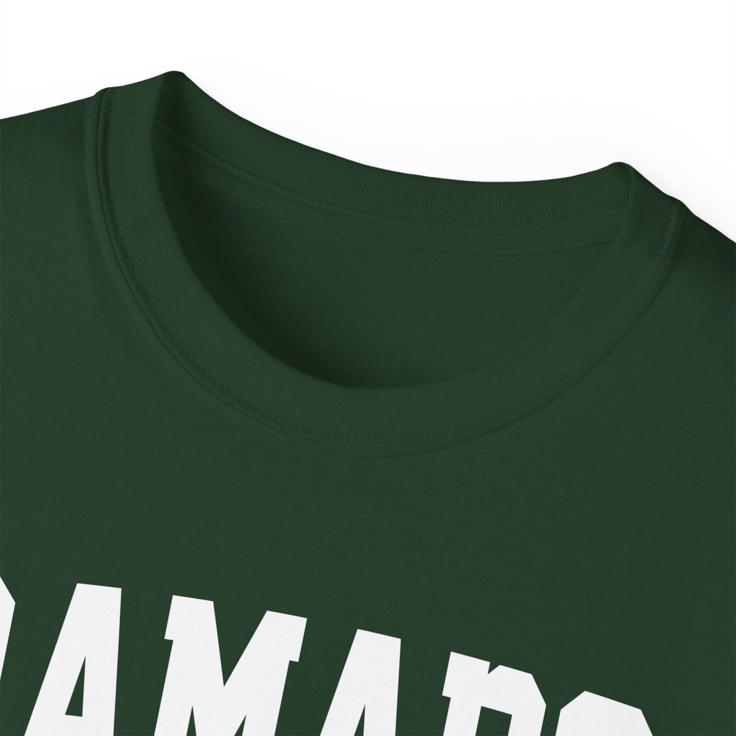 Ramapo New York t-shirt