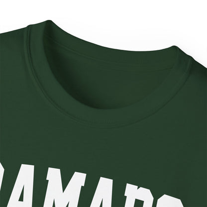 Ramapo New York t-shirt