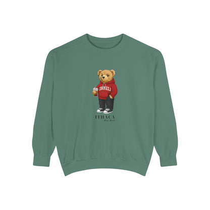 Ithaca, New York Teddy Bear Comfort Colors Sweatshirt