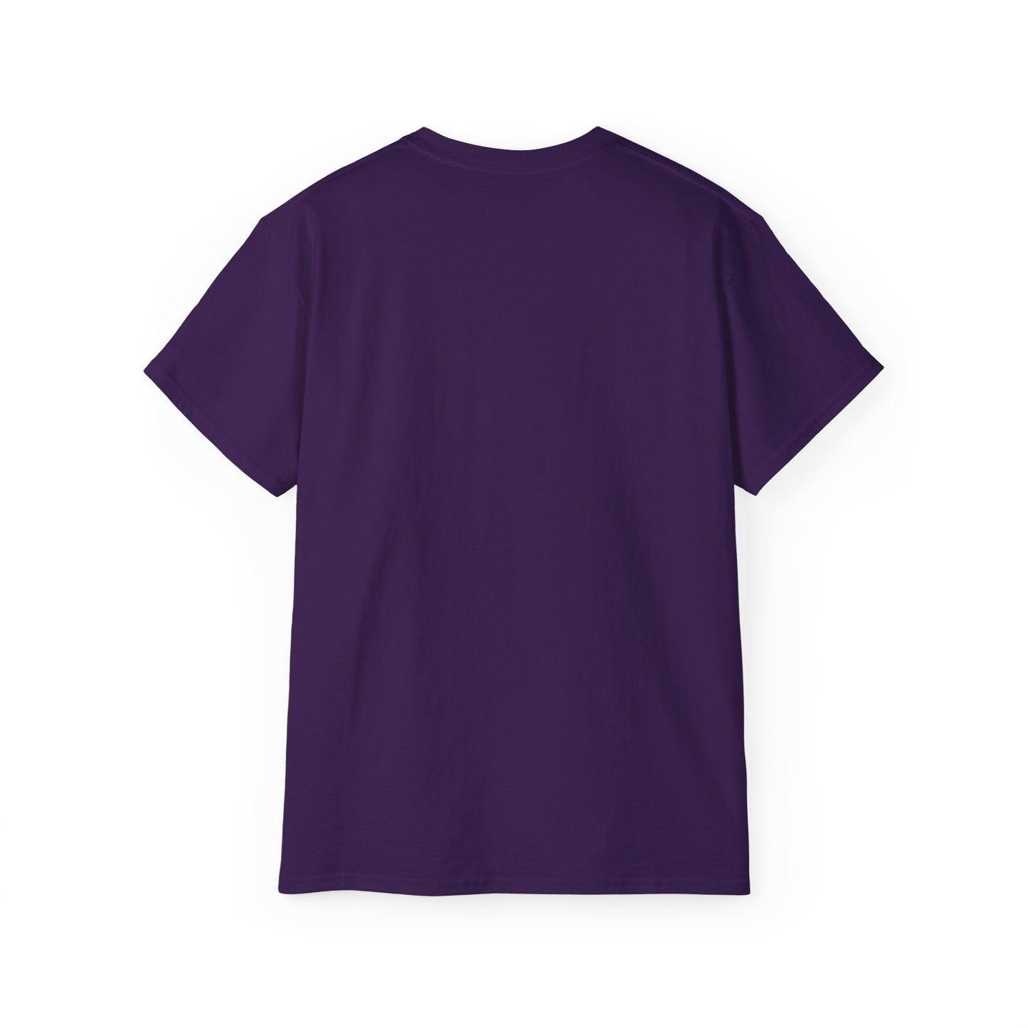 Schenectady New York t-shirt