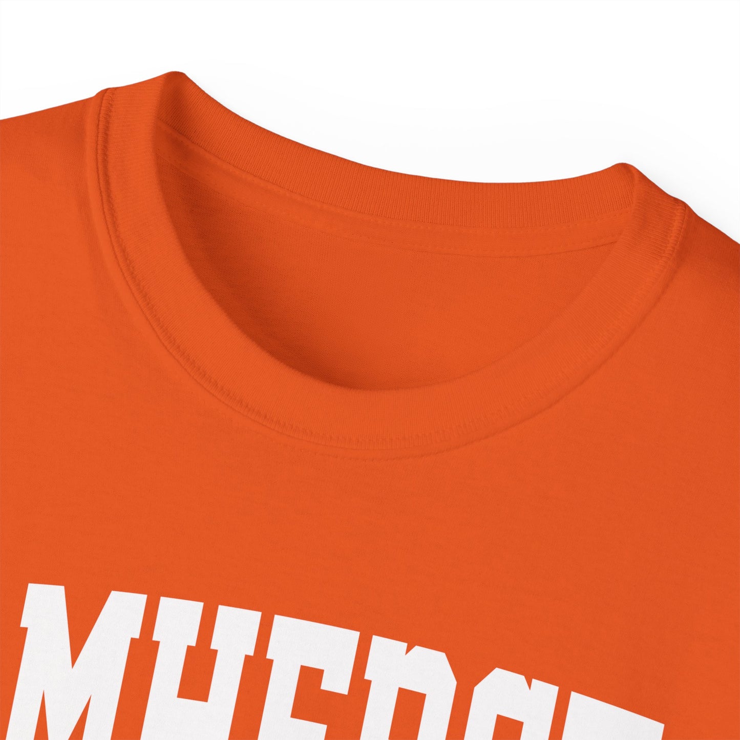 Amherst New York t-shirt