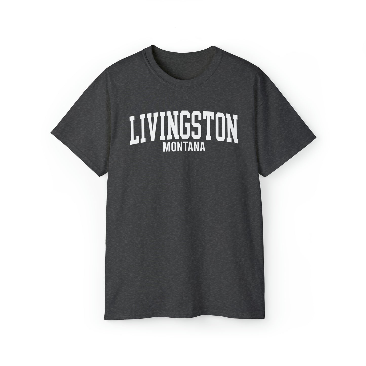 Livingston Montana t-shirt
