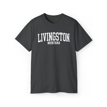 Livingston Montana t-shirt
