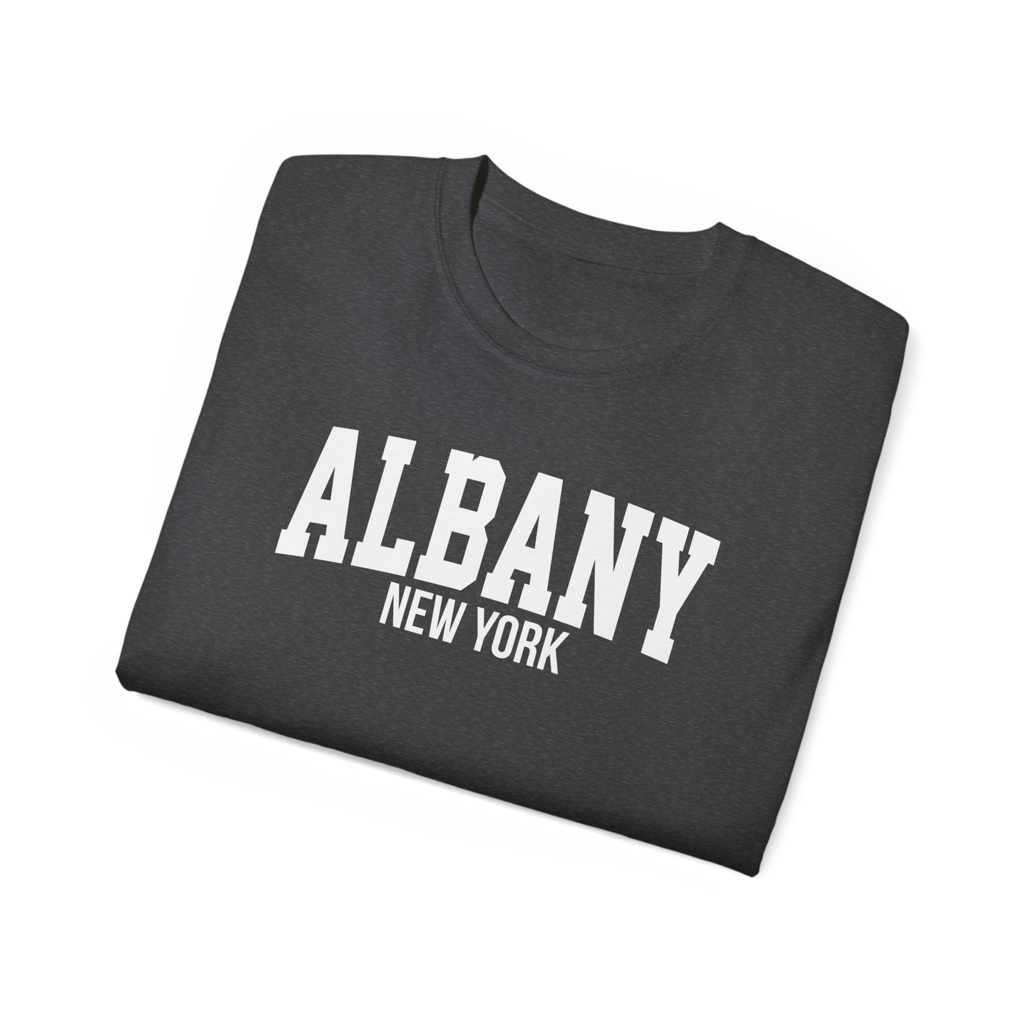 Albany New York t-shirt