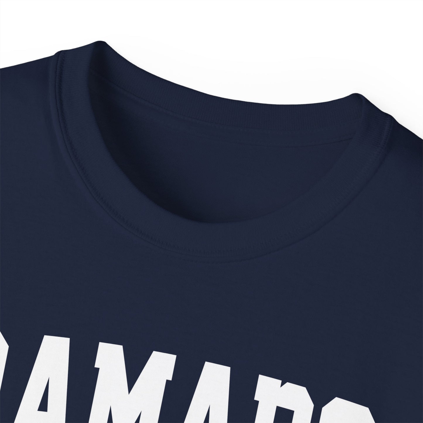 Ramapo New York t-shirt