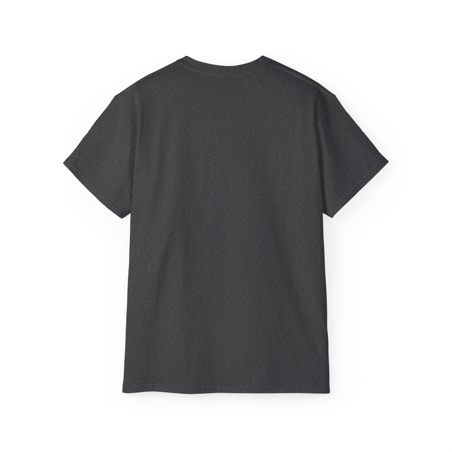 Schenectady New York t-shirt