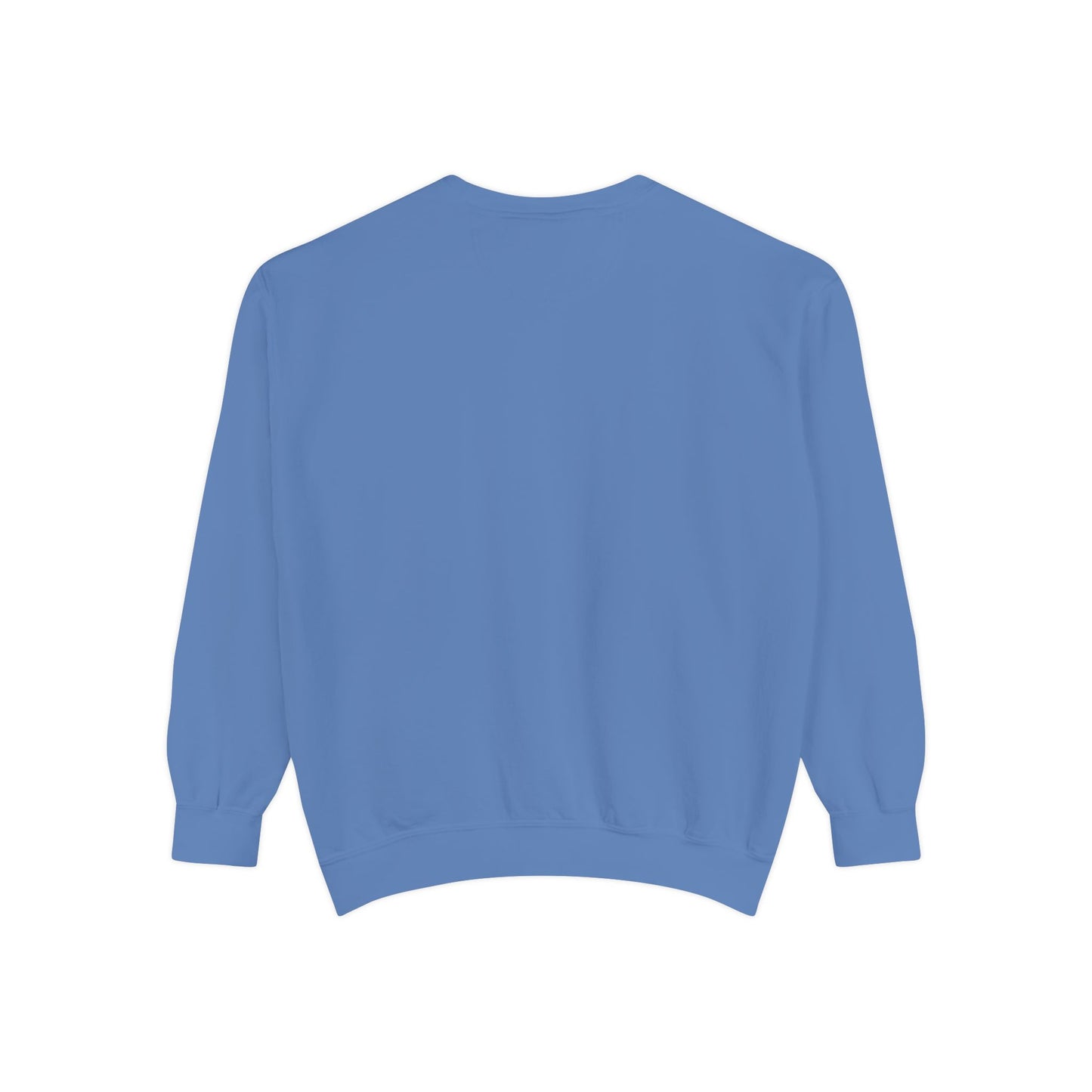 Riverview Florida Comfort Colors Sweatshirt