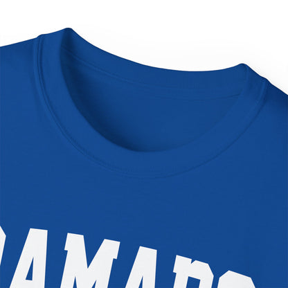 Ramapo New York t-shirt