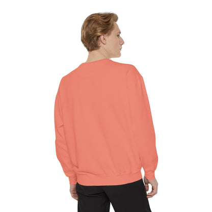 Houston Texas Comfort Colors Sweatshirt