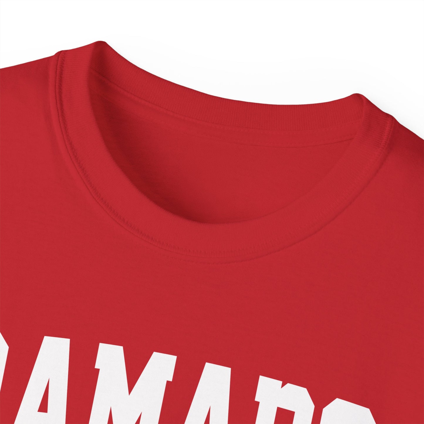 Ramapo New York t-shirt