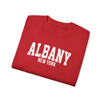 Albany New York t-shirt