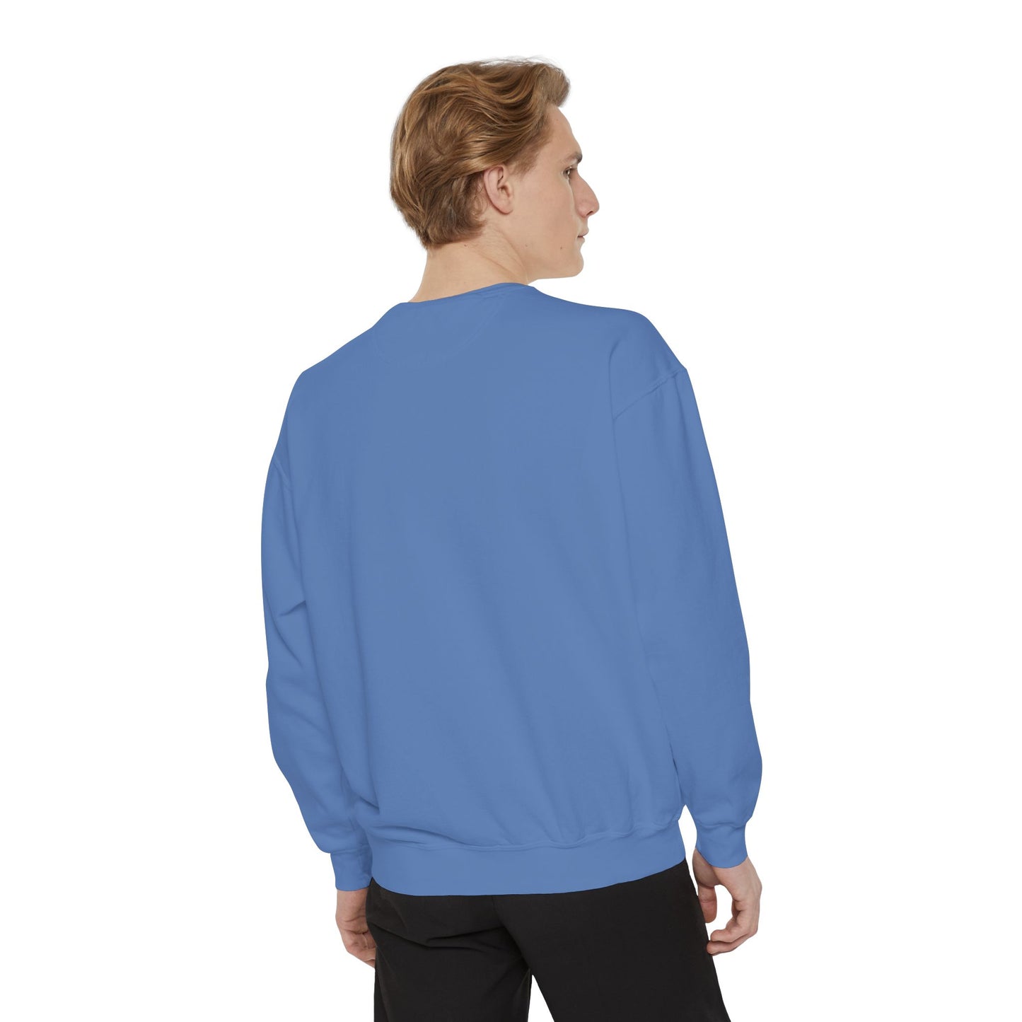 Spring Hill Florida Comfort Colors Sweatshirt