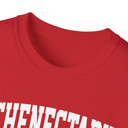 Schenectady New York t-shirt