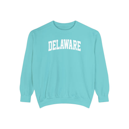 Delaware Comfort Colors Sweatshirt